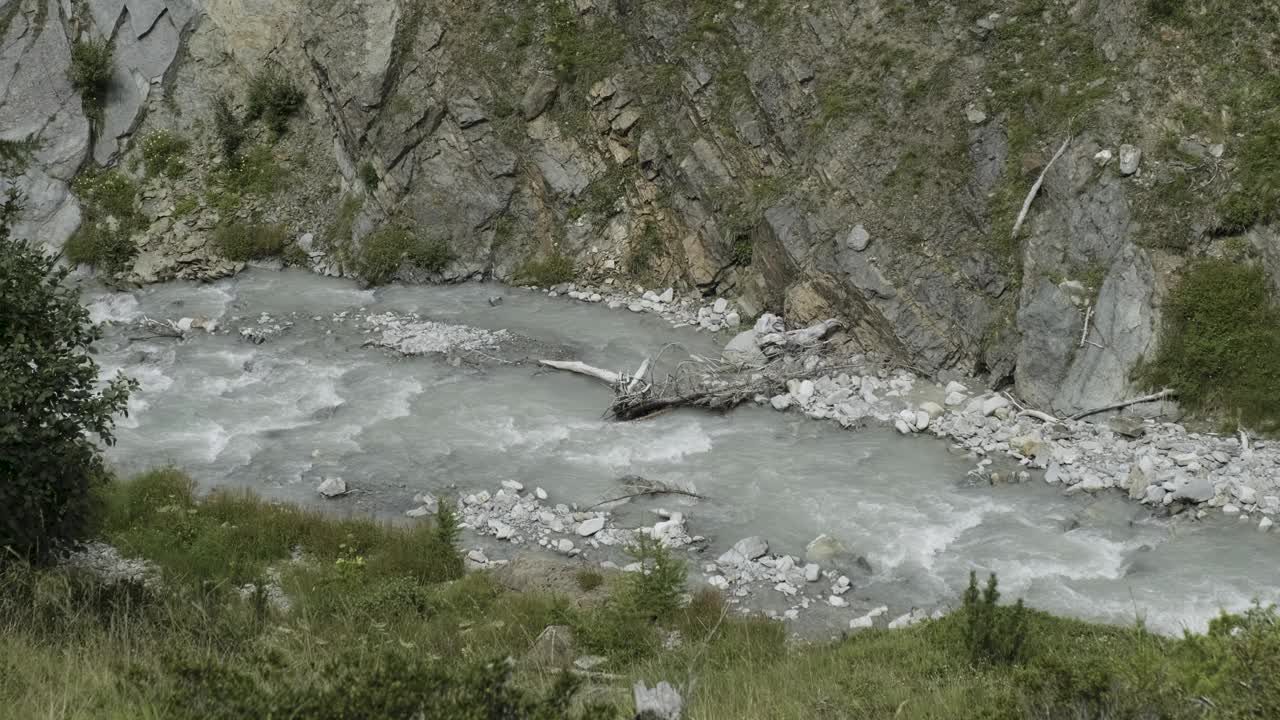 高山峡谷中白色河流中的枯树视频下载