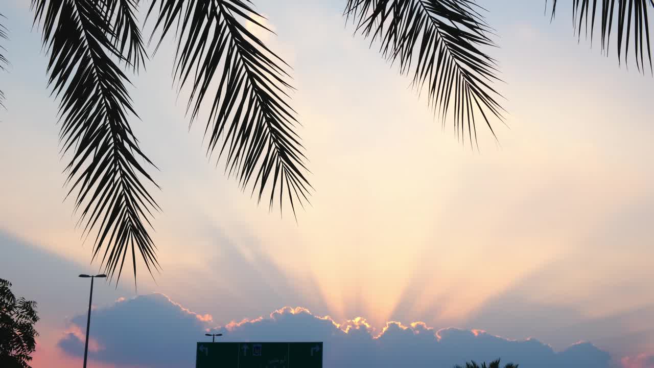 夕阳中的光线与云彩，前景中的枣树枝。视频下载