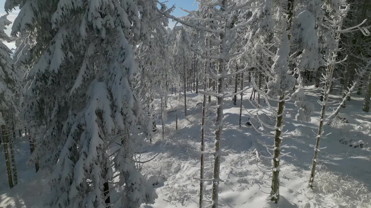 从被雪覆盖的树木之间上升到树冠之上，可以看到德国黑森林的丘陵和山脉的冬季仙境视频下载