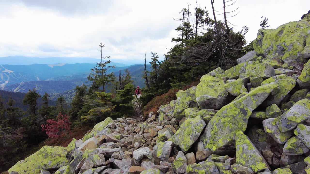 一位妇女在徒步旅行时越过岩石爬上一座山。她用登山杖视频素材