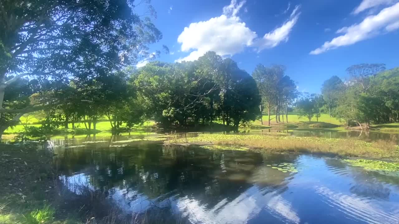 澳大利亚乡村绿树成荫的湖泊景观视频下载