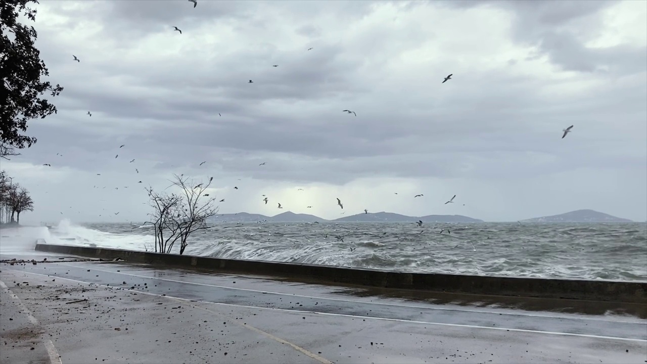 在风雨交加的日子里，海浪冲击着海岸和风视频下载