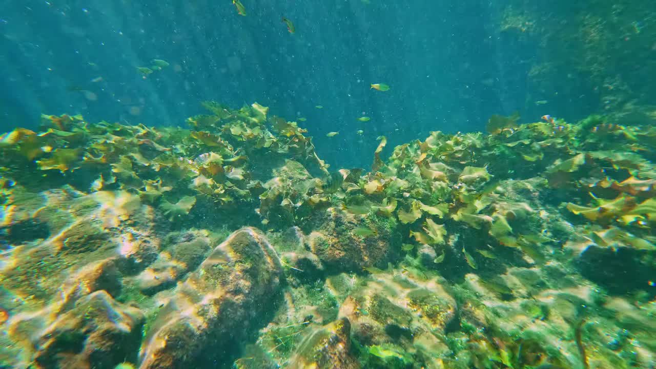 夏季早晨，希腊阿提卡，马拉塔纳斯的阿吉亚码头海滩上绿松石般的海水，4K水下照片视频素材