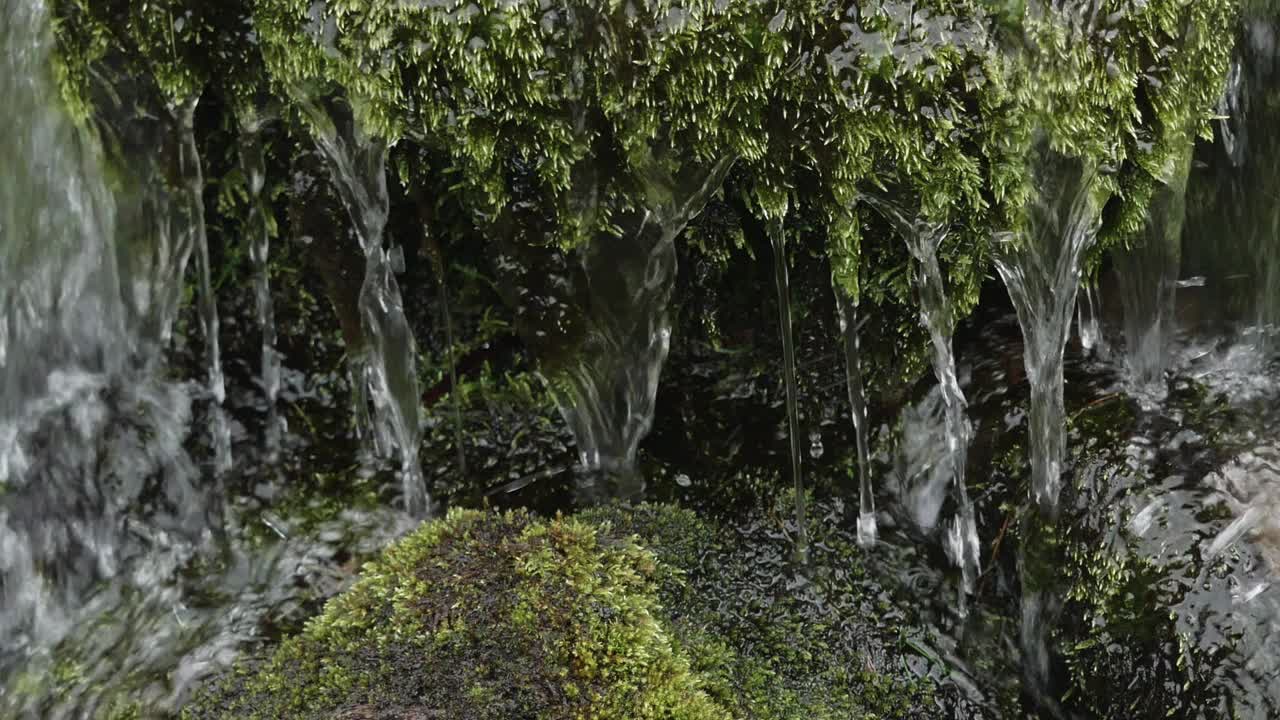 一个宁静的瀑布场景，有苔藓的岩石和清澈的水。帕诺人视频素材