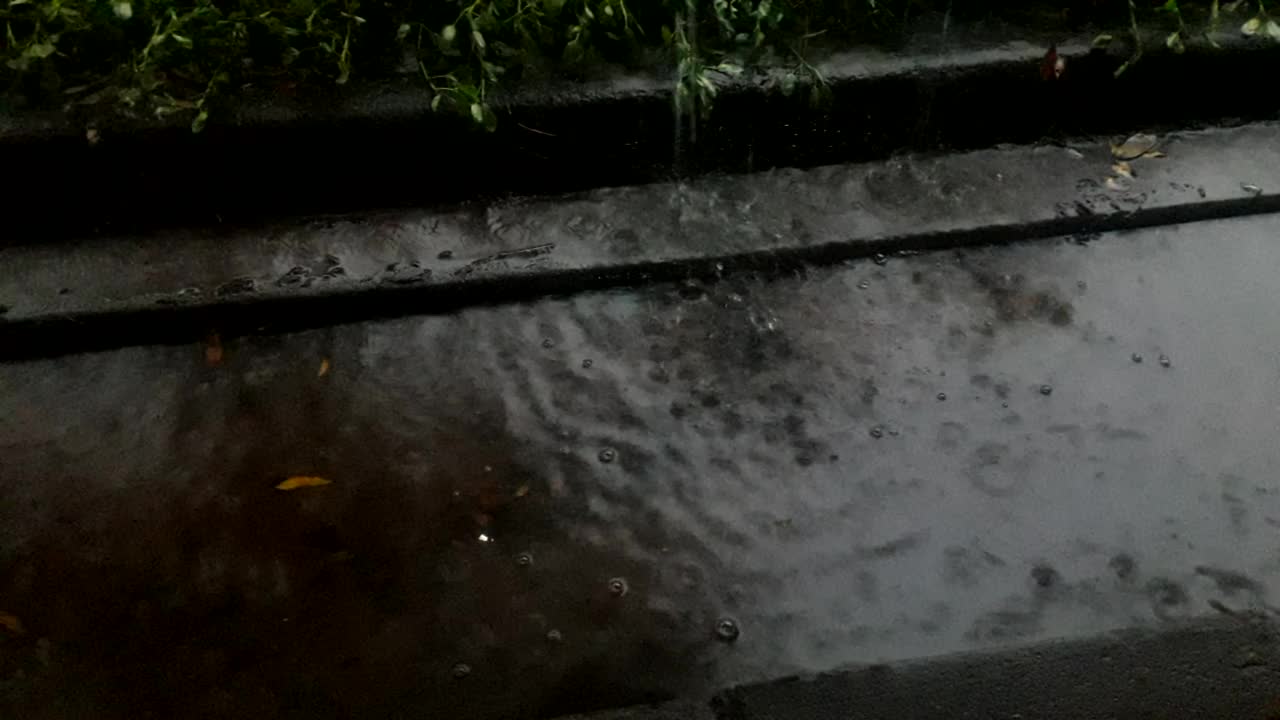 雨季视频下载