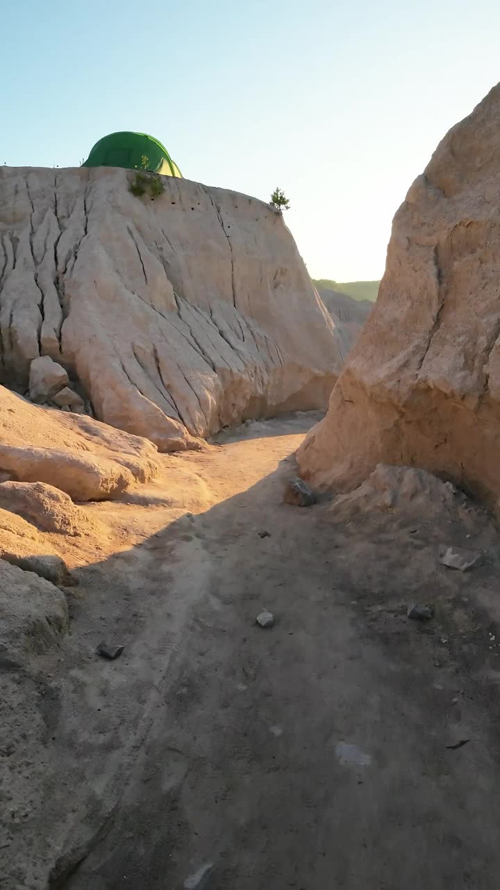 在一个阳光明媚的夏日清晨，一条通往海滩的风景优美的小路。夏天的风景。垂直视频视频素材