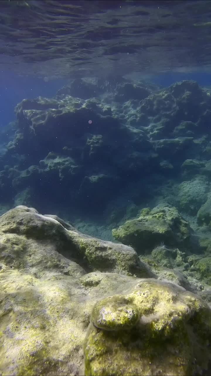 地中海岩石海床的浮雕，慢动作，视频素材