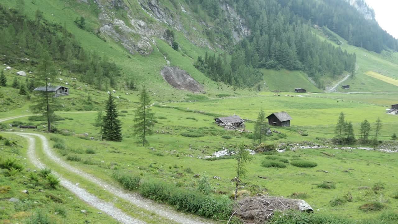 在奥地利齐勒塔尔阿尔卑斯山脉的高山农业，管理高山牧场，有徒步旅行的小径和放牧的草地。视频下载