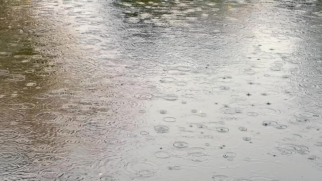 雨滴落入水中。在阴天，雨水落在河里。视频素材