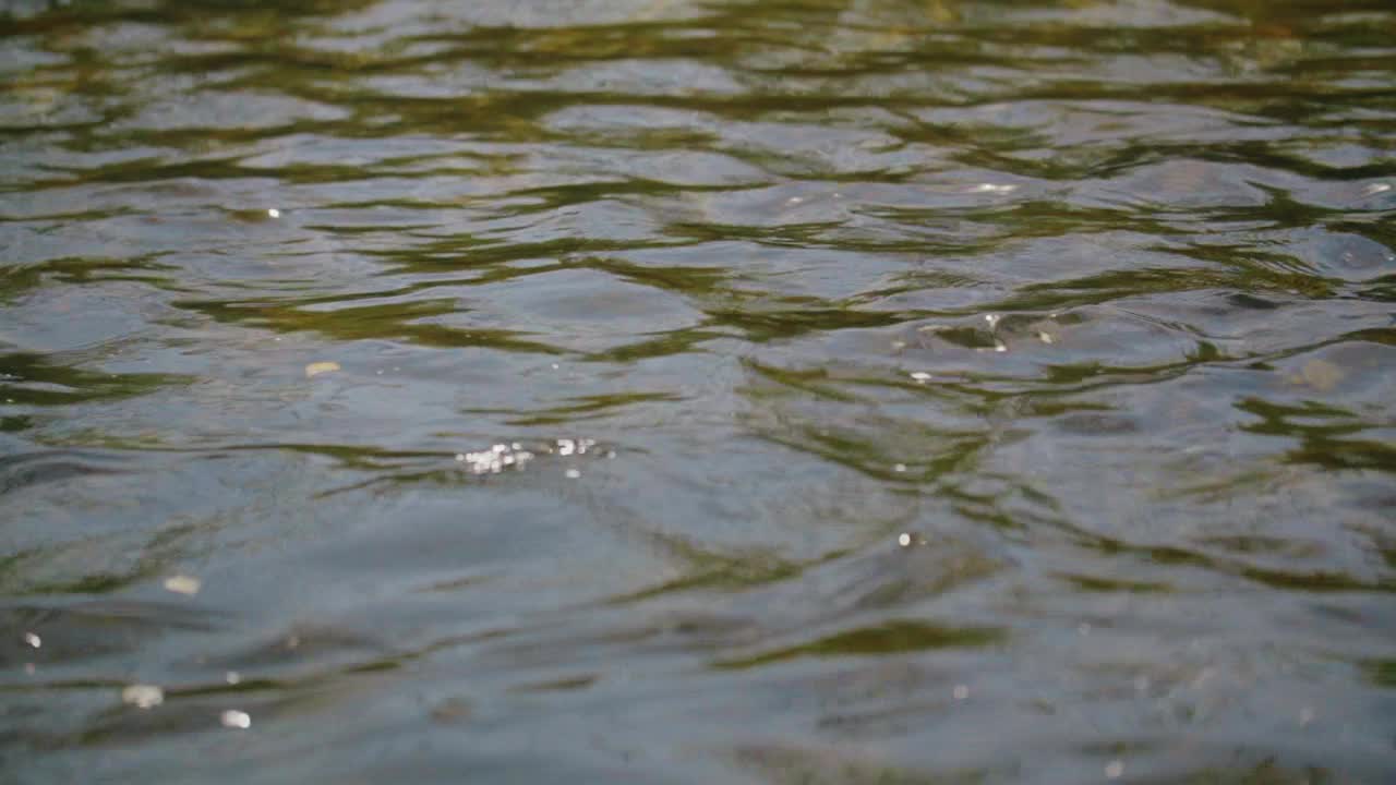 水波背景视频素材