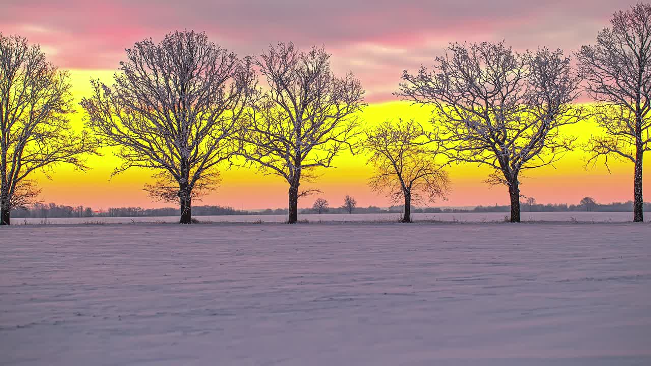 金色的日出时间流逝在雪地和树木的农村地区视频素材