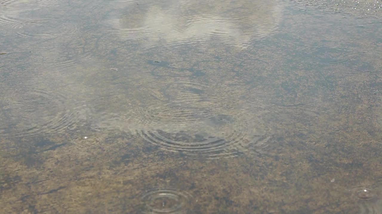 雨点落在屋顶水坑上的慢镜头。视频素材