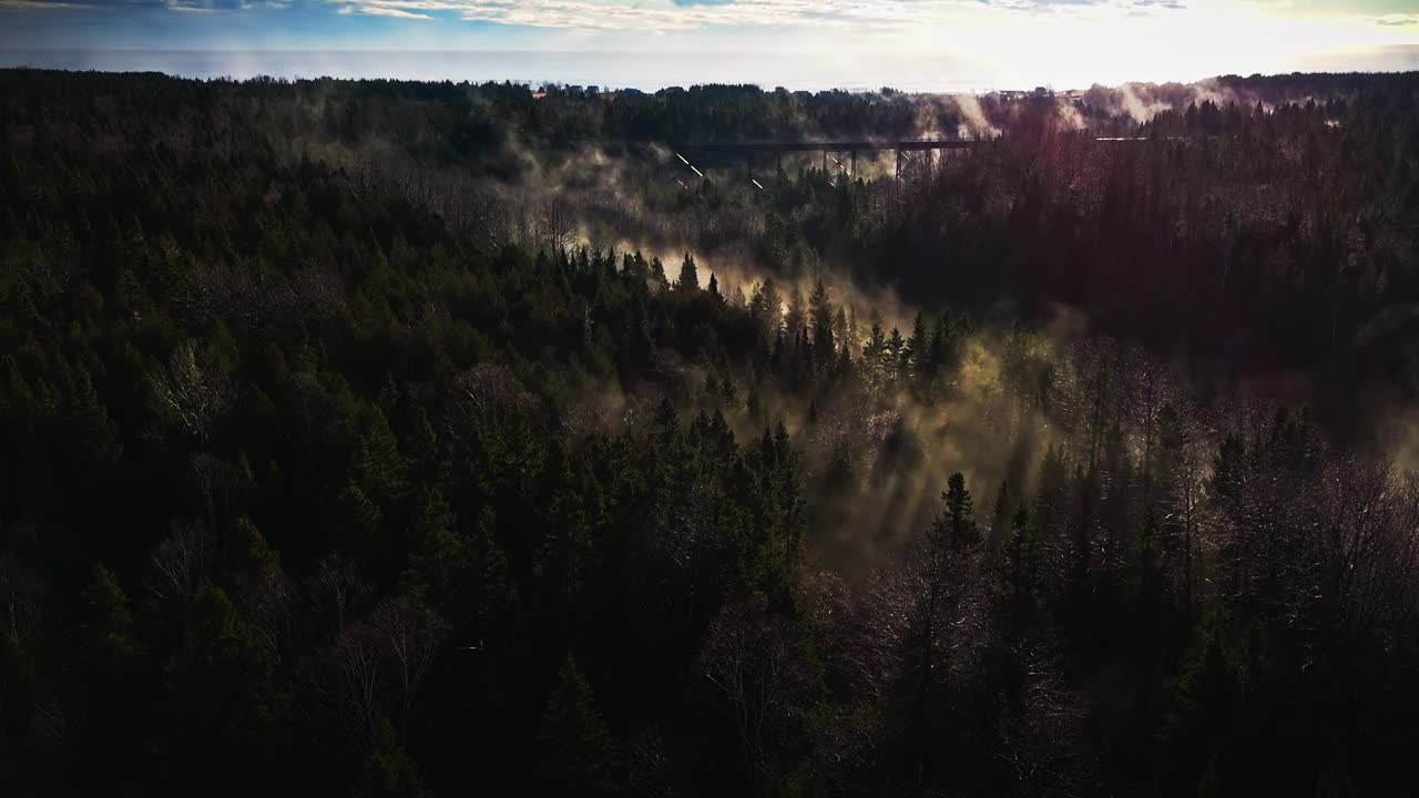 雾蒙蒙的早晨，在一些树木和河流上，无人机以4K 60FPS拍摄。视频素材