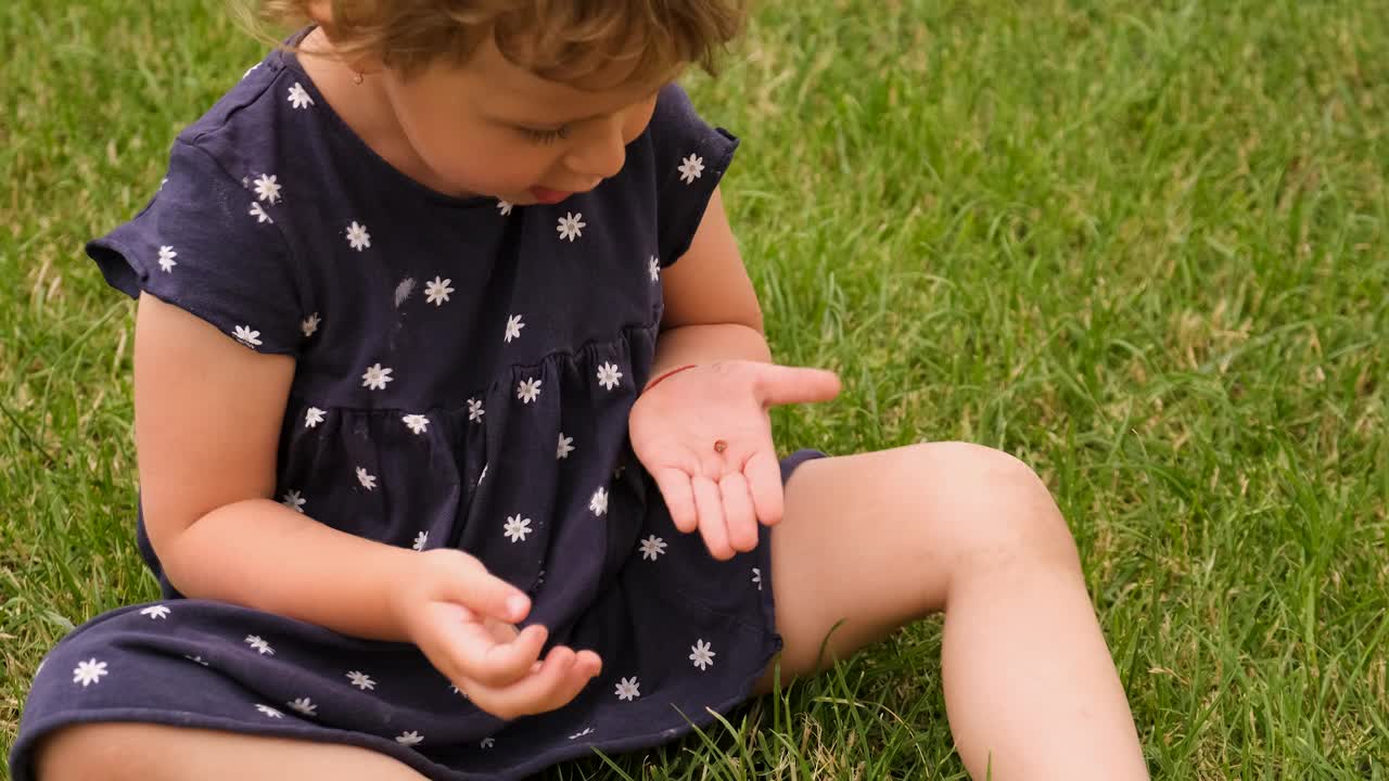 一个孩子在花园里抱着一只瓢虫。有选择性的重点。大自然。视频素材