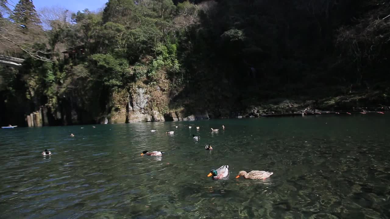 Takachiho峡谷视频素材