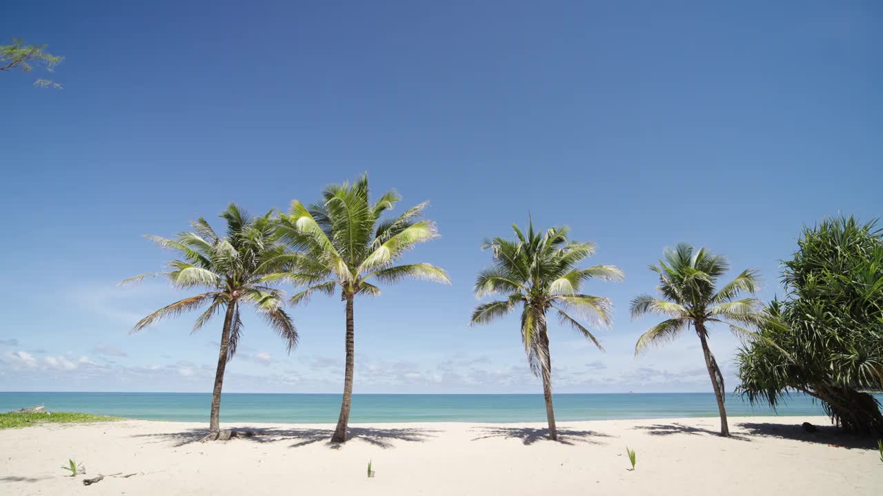 椰子海滩全景天空云海景背景。视频素材