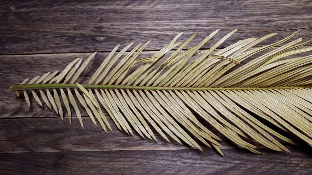 一个干燥的棕色棕榈叶与羽毛结构在木材背景的垂直图像。天然细长茎。高品质4k画面视频下载