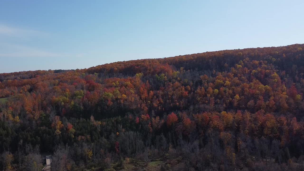 上升的空中拍摄的高峰秋天的色彩在Caledon，安大略省视频素材