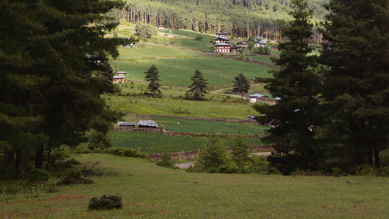 不丹的山水云海，不丹Phobjikha山谷的草地。视频下载