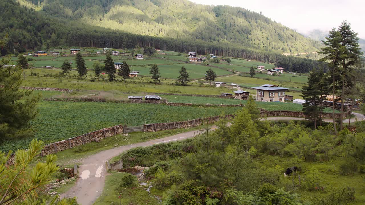 不丹的山水云海，不丹Phobjikha山谷的草地。视频下载