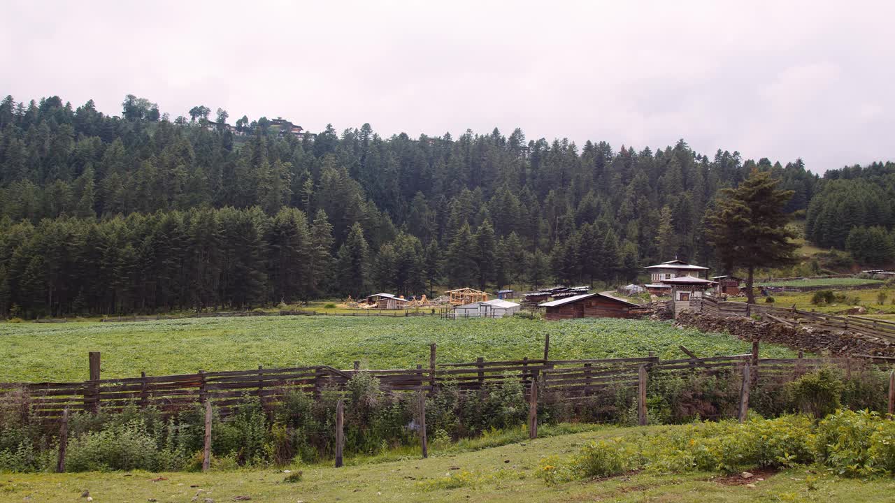 不丹的山水云海，不丹Phobjikha山谷的草地。视频素材