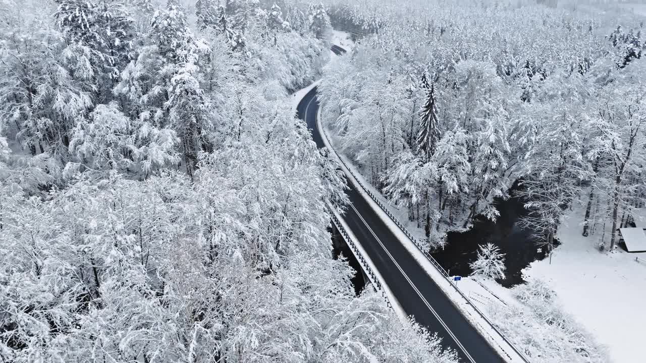 波兰，冰封的森林里有白霜、白雪和冬日的柏油路。视频素材