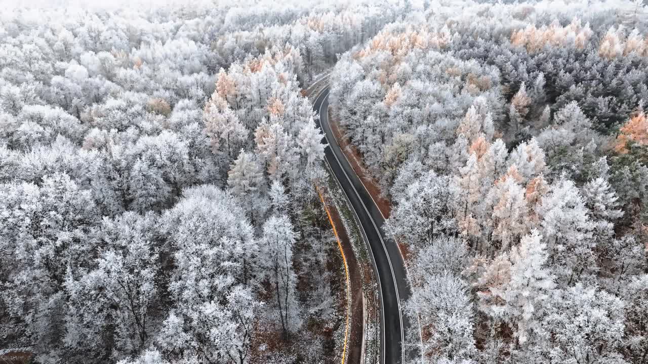 波兰，冬日的柏油路和五彩缤纷的冰霜森林。视频素材