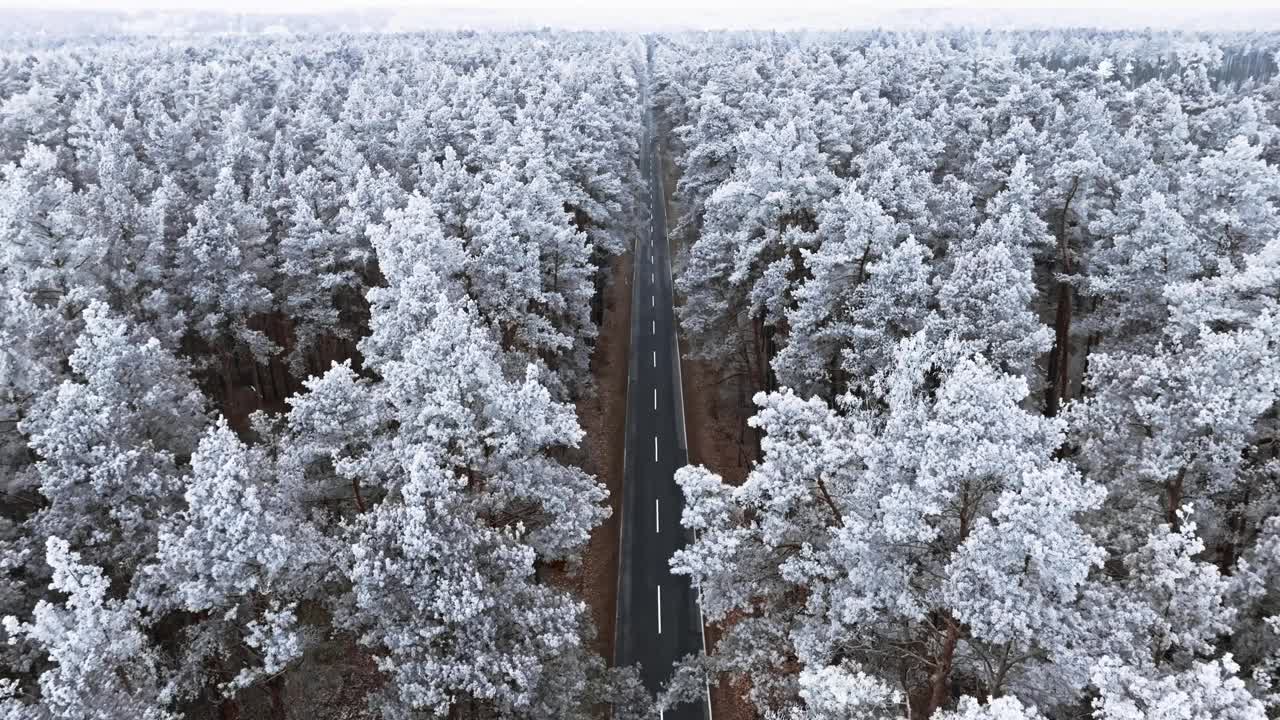 波兰，冬日的柏油路和被霜冻住的森林。视频素材