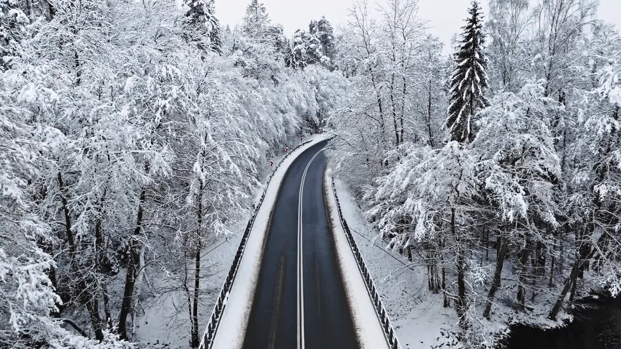 白雪皑皑的冬季森林被柏油路隔开。视频素材