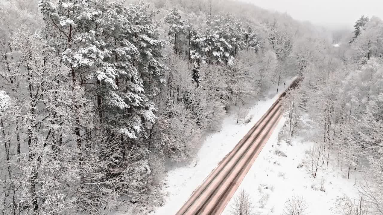 白雪覆盖的道路通向枯死的森林。冬天的交通。视频素材