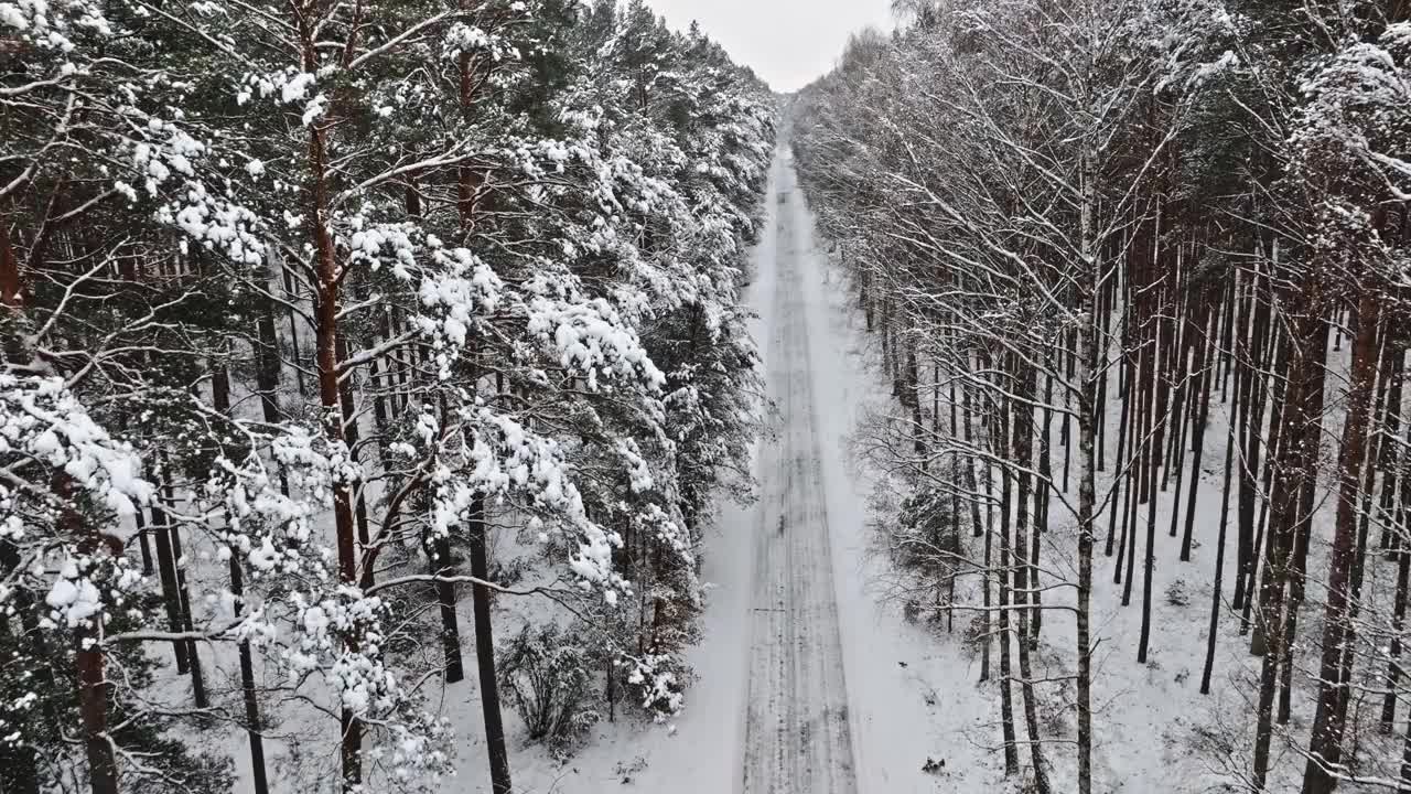 鸟瞰白雪覆盖的柏油路和冬季冰冻的森林。视频素材