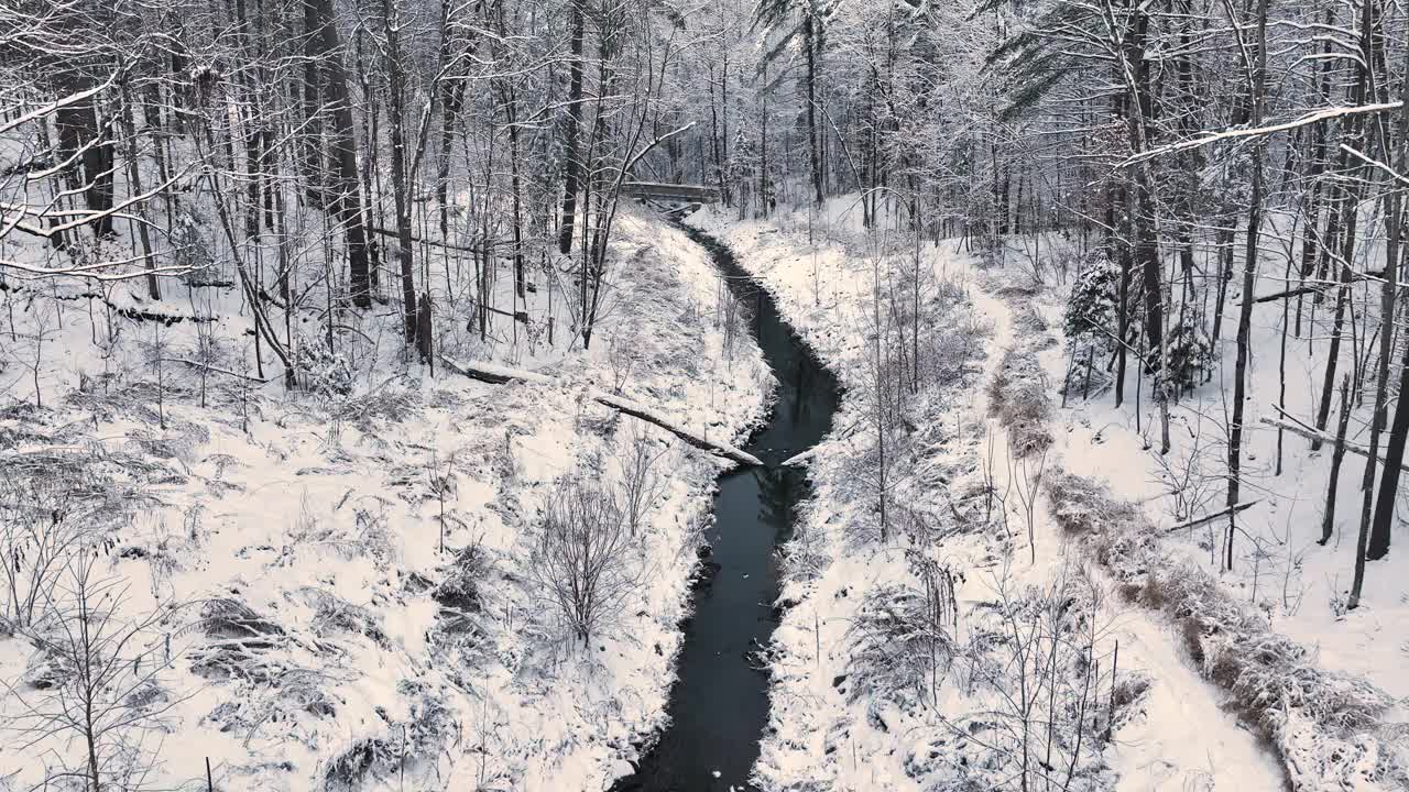 冬天飞过一条小溪，树木被雪覆盖视频下载