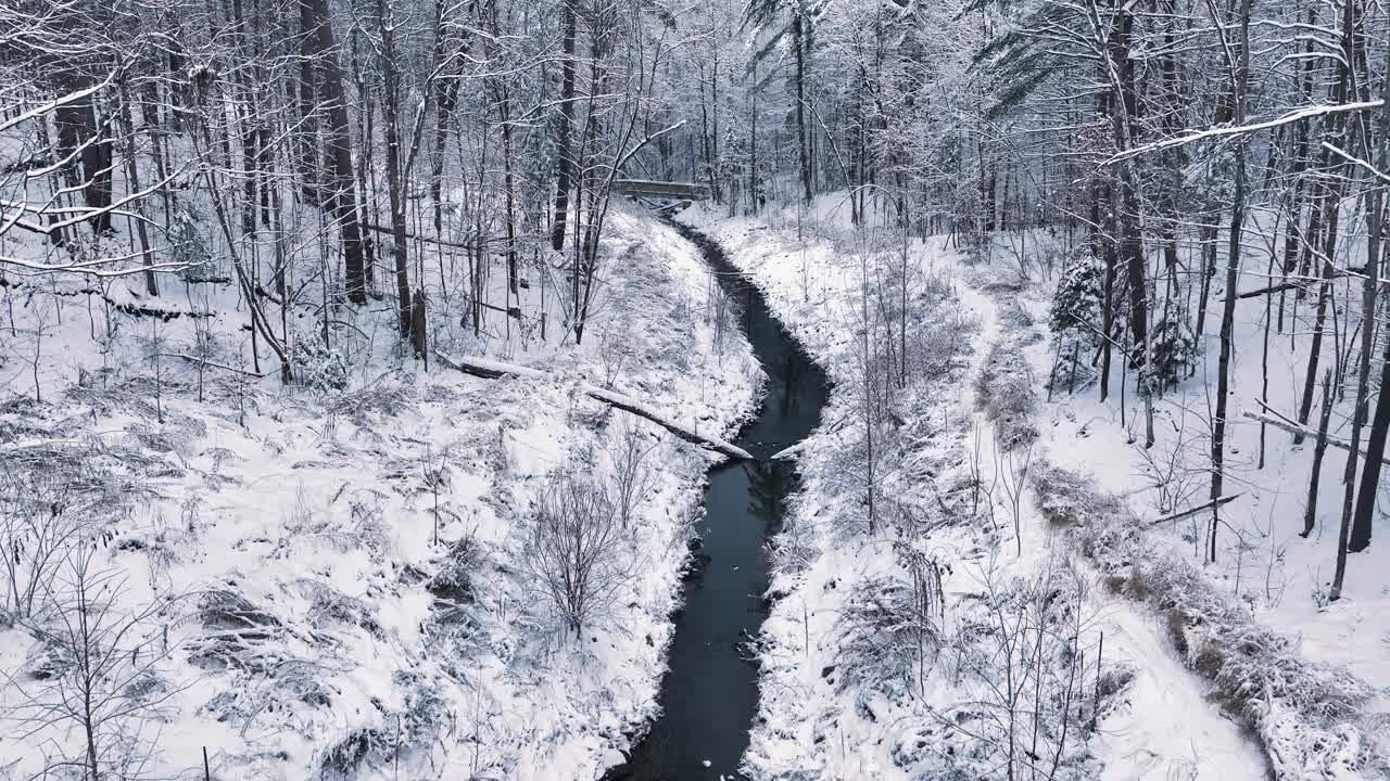 冬天飞过一条小溪，树木被雪覆盖视频下载