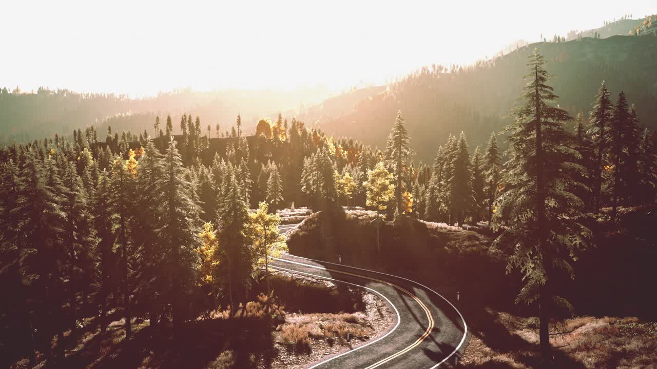 夕阳下宁静的林间小路视频素材