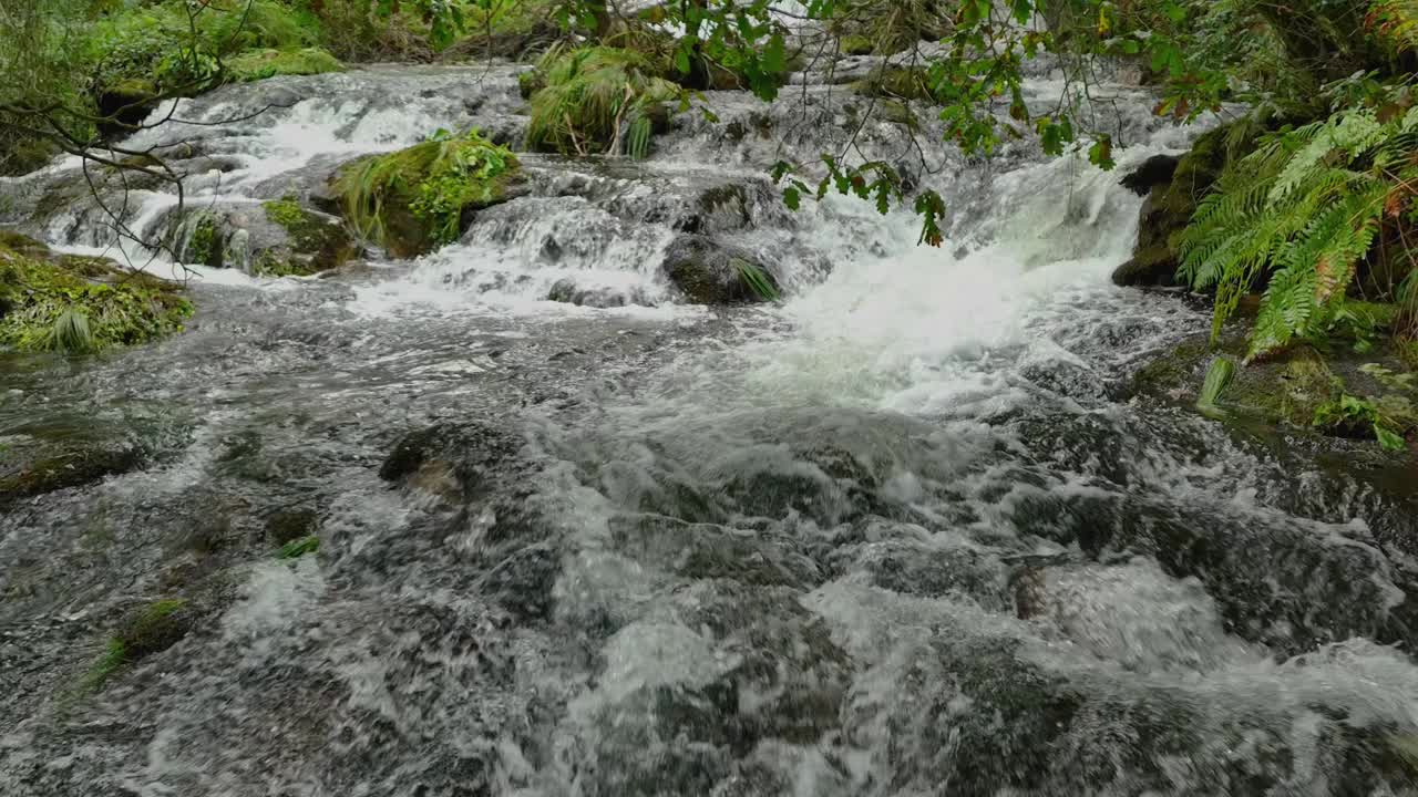 热带自然中的河流穿过森林山脉。慢动作视频素材