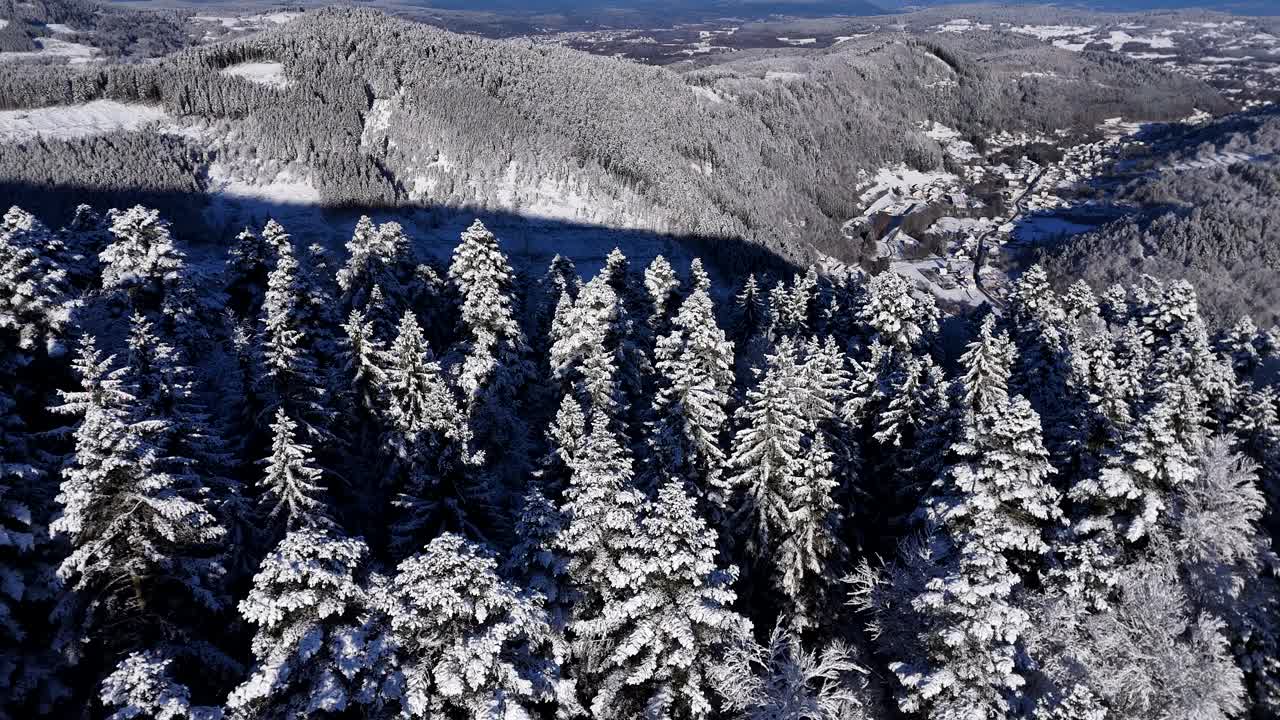 在平原孚日山脉的白雪皑皑的冬季森林树木山脊上的空中轨道视图4K视频素材