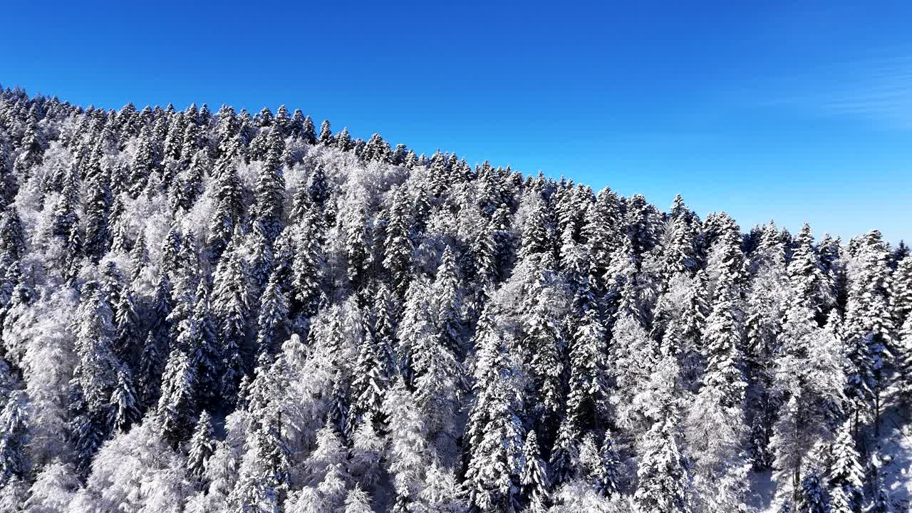 航拍显示在孚日山脉的白雪皑皑的冬季森林树木山脊视频素材