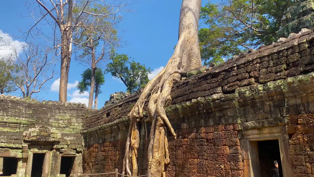 塔普罗姆，一座神秘的高棉文明寺庙，位于柬埔寨吴哥的领土上视频下载