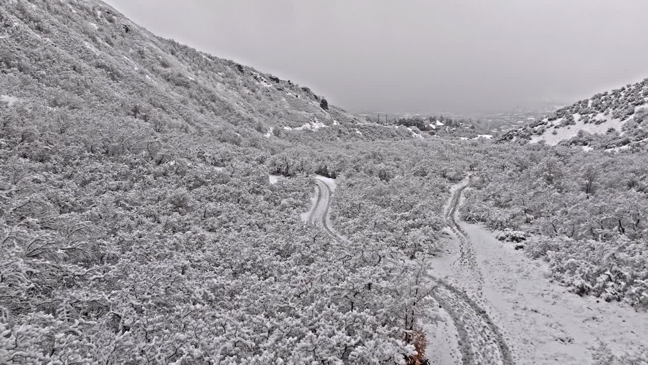 全景航拍积雪覆盖的峡谷与新鲜的轮胎和步道之间的树视频素材