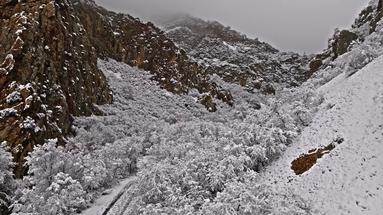 空中运输盘建立了一个巨大的石英峡谷口，树木和岩石被雪覆盖视频素材