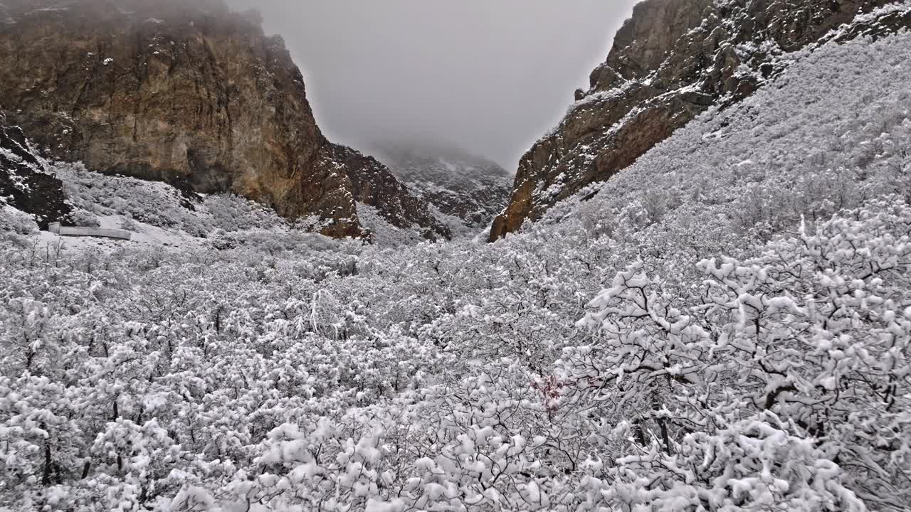 积雪覆盖的灌木和灌木像树一样，史诗般的岩石峡谷锯齿状的石英悬崖，犹他州普罗沃视频素材