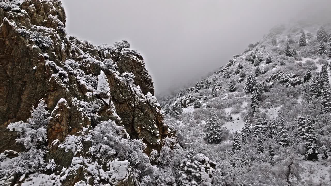 无人机飞过被雪覆盖的尖锐风化的岩石悬崖，露出峡谷中白色和灰色的森林视频素材