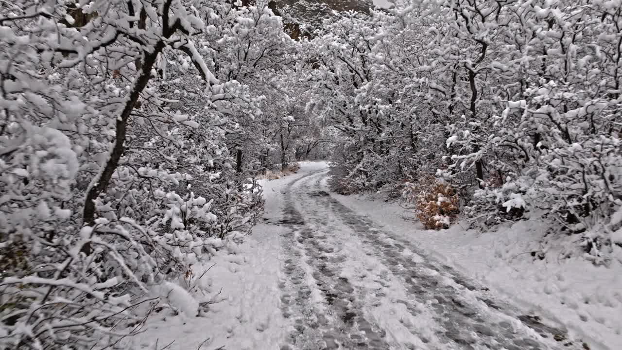 积雪覆盖的徒步小径上，锋利的树枝伸展着，层层叠叠地铺着白色的蓬松粉末视频素材