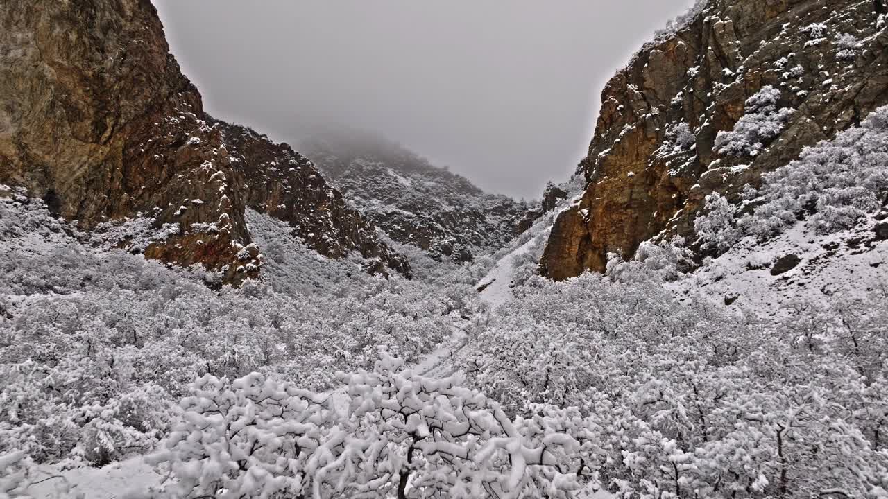 在陡峭的峡谷入口处，沿着宽阔的徒步小径，在白雪覆盖的白色树木上拍摄的航拍摄影视频素材