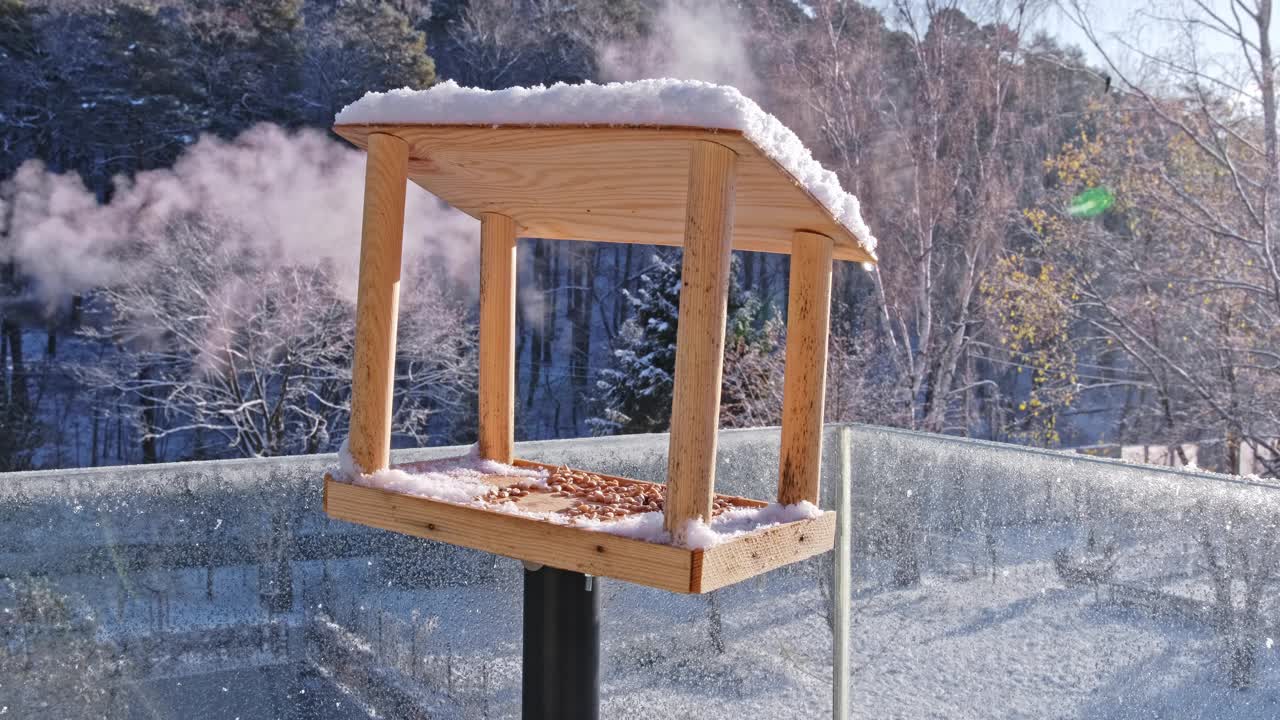 一群美丽的欧亚蓝山雀雀鸟正在吃冬季喂食箱里的葵花籽视频素材