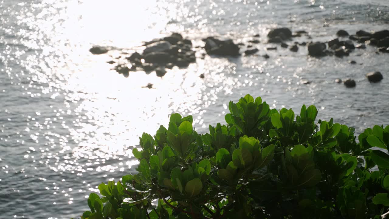 阳光照耀在印度洋上，茂密的树叶背后是岩石海岸。宁静的海浪抚摸着海岸线，热带的绿色植物闪闪发光。宁静的自然风光，充满活力的阳光反射，沿海氛围。视频素材