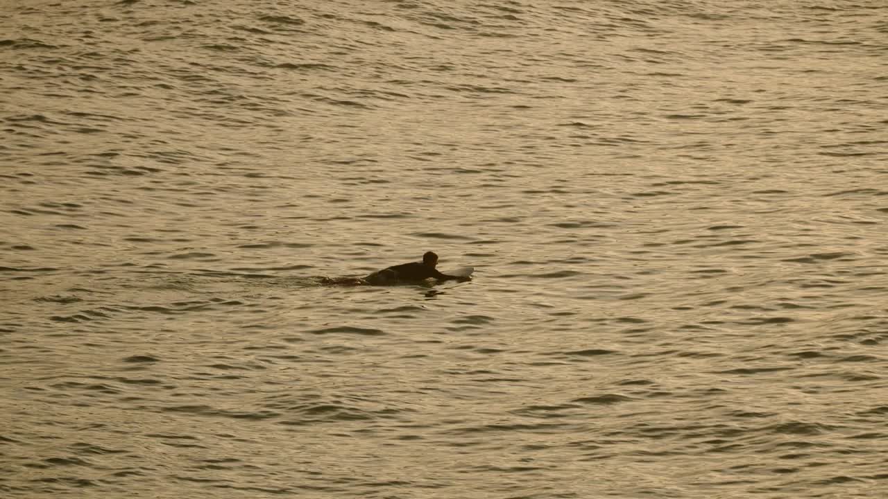 冲浪者在金色的夕阳海中划桨。冲浪爱好者准备冲浪，冒险旅游。海洋景观，水上运动在大自然。独自冲浪者寻求刺激，积极的生活方式。视频素材