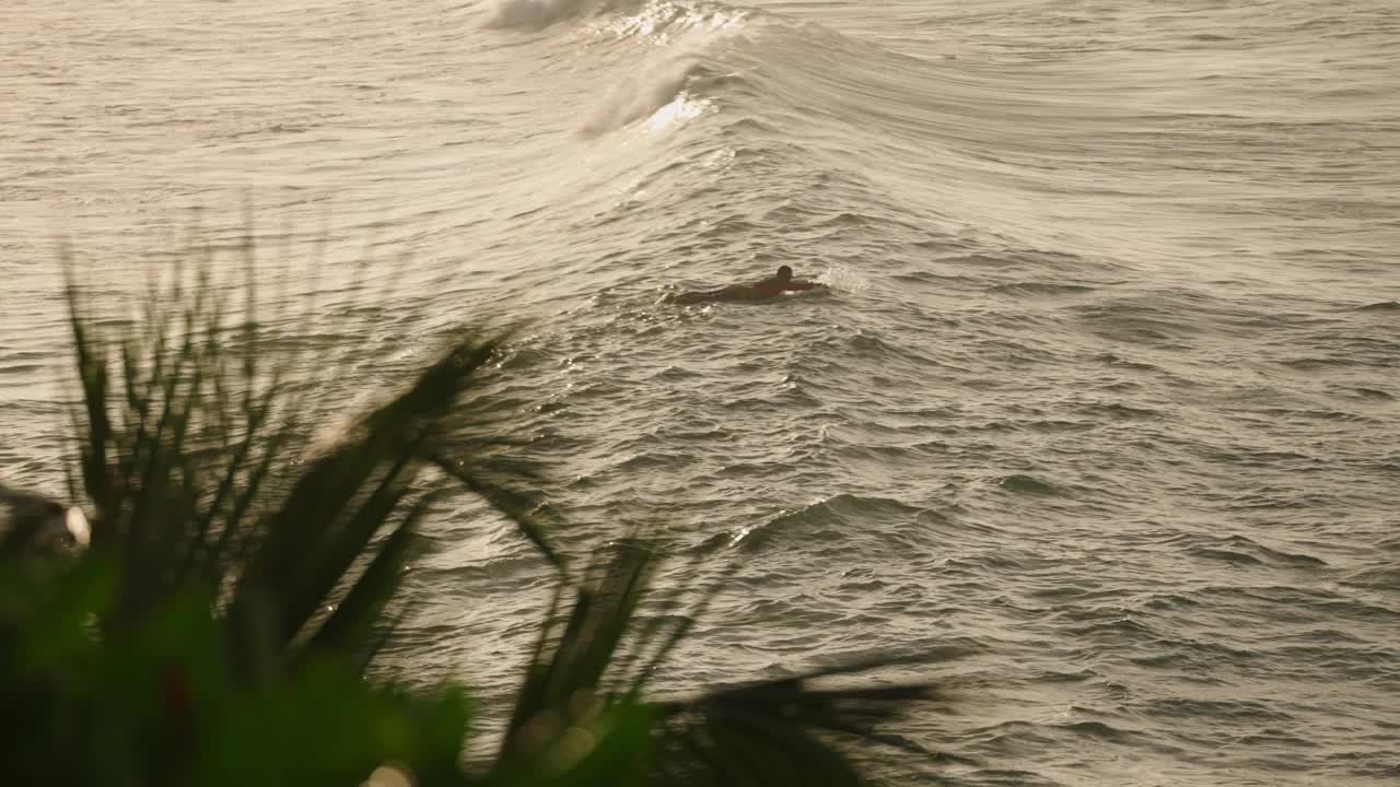 冲浪者在大海中划桨等待波浪。日落时海上的冒险运动场景。积极的生活方式，水上运动，冲浪假期。热带海滨度假，海洋休闲活动。视频素材