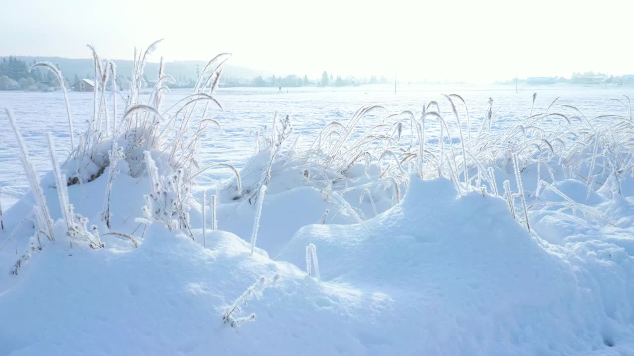 雪的风景。视频素材