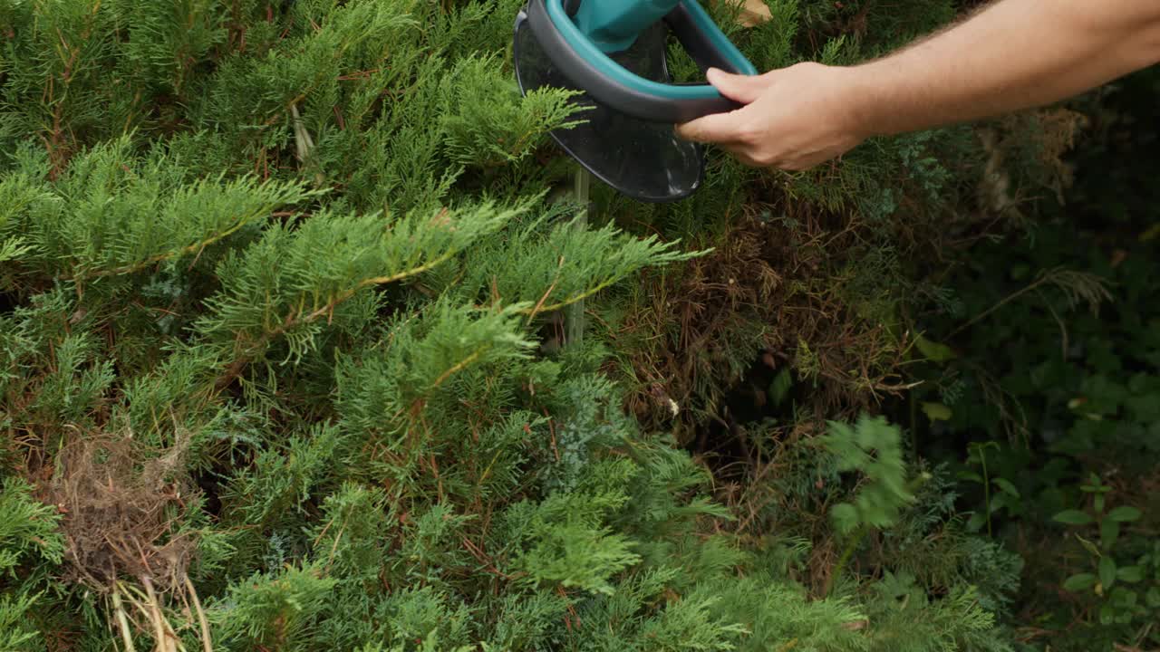 用树篱修剪机修剪灌木视频素材